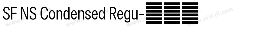 SF NS Condensed Regu字体转换